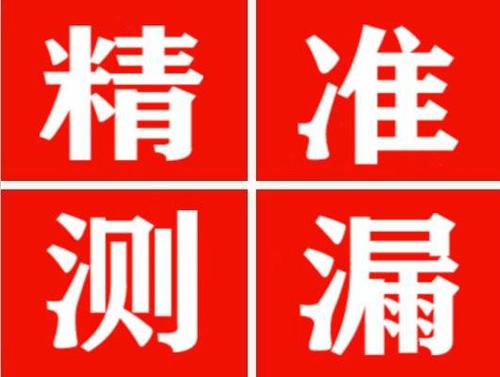 仁寿尚嘉漏水精准查找