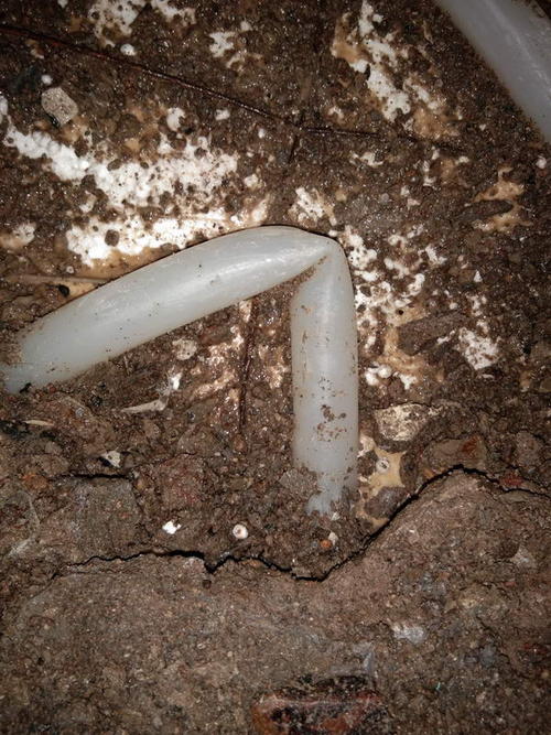 仁寿堵点精准查找